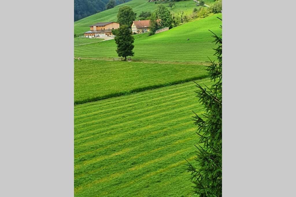 Schoene 3 1/2 Zimmer Wohnung In Der Zentralschweiz Menznau Luaran gambar